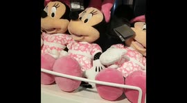 Disney Shop & Mickey Cafe