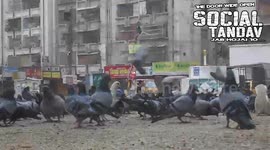 Urban Life, Karachi, Pakistan.