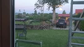 Fox chilling in front of a house