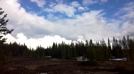 Incredibles nature timelapse