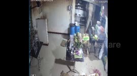'Curious' elephant raids restaurant in southern India
