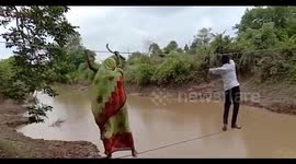 Indian villagers risks their lives walking on rope above river to reach farmland