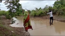 Indian villagers risk their lives by walking on rope above river to reach farmland