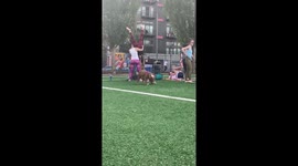 Pit Bull Dog Tries To Join Yogo Class