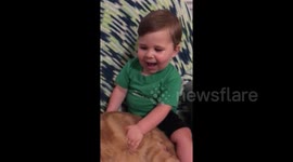 'This cat is chonky!' Adorable US baby calls his kitty fat