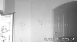 Fridge door opens by itself in middle of night