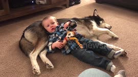 Relaxing with Woody