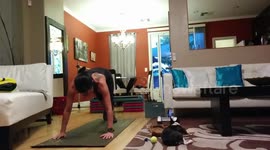 Working out with a puppy is tricky business