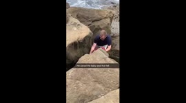 Heartwarming moment brave man dives under rocks to rescue fallen baby seal