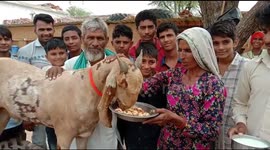 Meet the £100,000 goat with the words for 'Allah' and 'Mohammed' marked on his fur