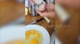 You've got to be yolking me! UK mum left stunned after finding 14 double-yolked eggs