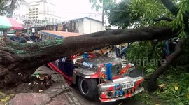 Strong winds from tropical Storm Danas batter the Philippines