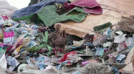 Campaign no use plastic single