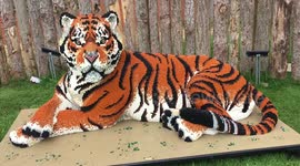 Lego tiger at Twycross Zoo