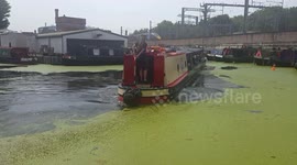 Regent's Canal covered in Algae.
