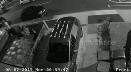 Dog walker doesnt pick up dog poo. Returns 3 days later to allow female companion to also use street as a toilet