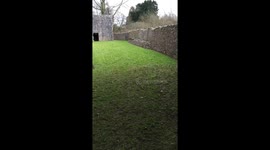 Epic fail recall