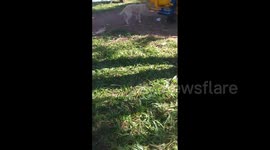 Lolita brincando no parque com a Kaeda