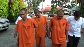 POLICE TANGKAP CAPTURES OF ILLEGAL LOGING IN RIAU ANIMAL AFFAIR FORESTS