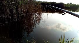 When the fish fails on fishing