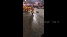 Fearless dog squares up to lion dancers during celebrations in Vietnam