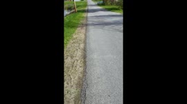 Dite requested video