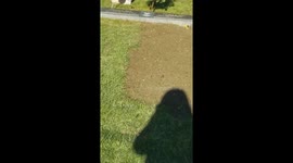Dite requested video