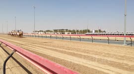 Camel Race, Dubai-UAE (1)