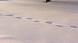 Snow Snow Snow Front Porch View, Chwalek Home in Minnesota