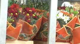 Mothers Day Flower Rush