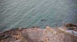 male seal arrives in to the plymouth sound on the hoe