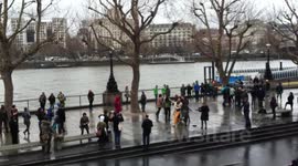 flash mob part 1`