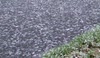Massive Snow Flakes Falling - Valentine's Day 2011