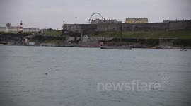 the sv irene arrives this morning in plymouth devon on the high tide