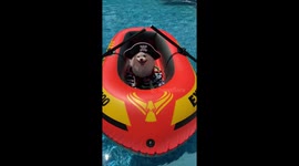 Pool Pirate spotted in pool