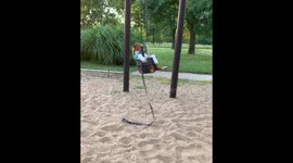 Two pups chill out in children's swing set in Iowa park