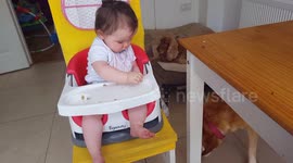 Baby feeds dog from highchair