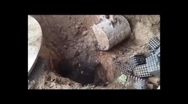Earthmover rescues a stray bull trapped in a pit in India