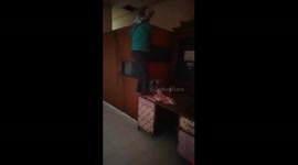 Woman climbs up onto table to escape terrifying... cat