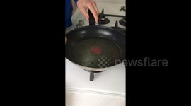 Newsflare Edit - You’ll never guess what is inside this egg!