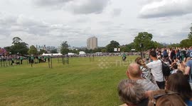 Dog riding about on a motorbike at the Lambeth Country Show
