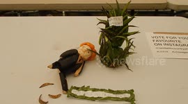 Theresa May As A Vegtable
