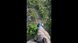 Walk to the nature