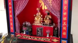 Elusive giant python finds shelter in spirit shrine at Chinese temple in Thailand