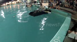 Cardboard Boat Regatta - 20190721 Knoebel’s Crystal Pool