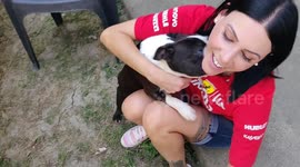 Getting puppy love