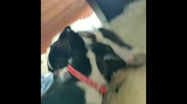 Taking a nap