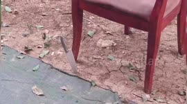 Knife lands upright beside mother and daughter after falling from residential building in China