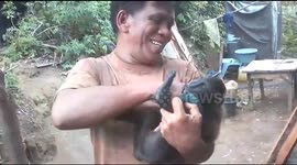 These monkeys in Indonesia laugh and play with humans.