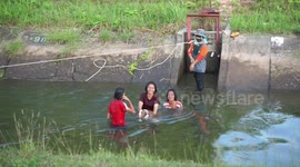Kids in a paddy field irrigation canal have fun in the clean fast flowing water, as they wash and teach a dog to swim.